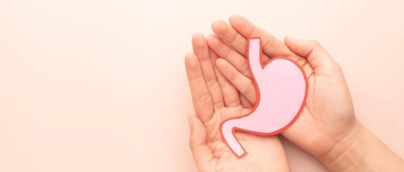 Pair of hands holding two-toned pink paper cut out of stomach against pale peach background.
